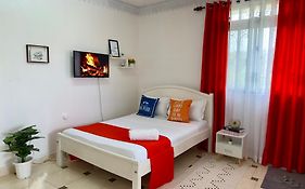 Dala Studio